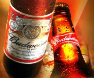 Budweiser-193x160